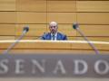 El presidente del Senado, Pedro Rollán, durante una sesión de Control en el Senado