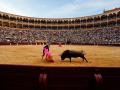 La Plaza de Las Ventas de Madrid, en la Corrida de la Prensa de 2023