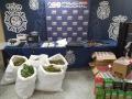 Drogas y armas intervenidas por la Policía Nacional en la operación