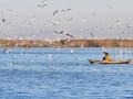 Una barca, en el Parque Natural de la Albufera, en Valencia