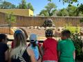 Presentación de la nueva especie de rinoceronte indio del Centro de Conservación-Zoo