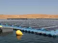Planta solar fotovoltaica flotante de Acciona en Zorita (Cáceres)
