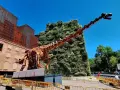 CaixaForum Madrid exhibe el esqueleto del mayor dinosaurio conocido en una nueva exposición