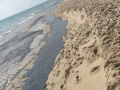 Imagen del vertido en una playa de El Saler, en Valencia