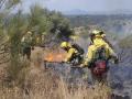 22 dotaciones de bomberos trabajan en la extinción de un incendio en El Molar (Madrid)