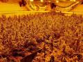 Plantación de marihuana indoor con enganches eléctricos ilegales, en imagen de archivo
POLITICA ANDALUCÍA ESPAÑA EUROPA GRANADA AUTONOMÍAS
ENDESA