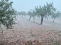 Estado de una tierra de cultivo valenciana en medio de la DANA que ha golpeado la región