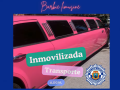 Vehículo inmobilizado por la Policía Local de Benidorm