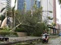 Un conductor de scooter pasa junto a un árbol caído en una calle en Haikou, provincia de Hainan, en el sur de China