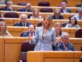 La portavoz del PP en el Senado, Alicia García