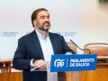 El portavoz del PP en el Parlamento gallego, Alberto Pazos Couñago