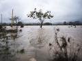 Imagen de las lluvias caídas en la comarca de La Ribera de Valencia

JORGE GIL/EUROPA PRESS
29/10/2024