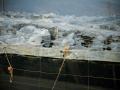 Efectos del temporal en un invernadero en El Ejido. A 29 de octubre de 2024, en El Ejido, Almería (Andalucía, España). El consejero de Agricultura, Pesca, Agua y Desarrollo Rural de la Junta de Andalucía, Ramón Fernández-Pacheco, ha asegurado este martes que el Gobierno andaluz ayudará "en lo que haga falta" a los agricultores andaluces una vez evaluados los daños del temporal caído principalmente en Málaga y Almería, donde según las primeras estimaciones, el granizo ha afectado a unas 4.200 hectáreas de cultivos del Poniente almeriense.

Marian León / Europa Press
29/10/2024