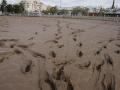 El barro cubre por completo un campo de fútbol en Sedaví, Valencia