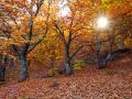 La gama cobriza del paisaje es característica del valle en los meses de octubre y noviembre