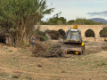 Tareas de desbrozamiento de barrancos en Elche