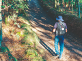 Un peregrino haciendo el Camino de Santiago a su paso por este pueblo