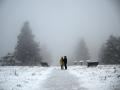 Una pareja camina entre árboles cubiertos de nieve en la montaña Kahler Asten, en el oeste de Alemania