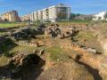 Visita al yacimiento de Cercadilla