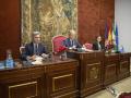 Pleno ordinario 18 diciembre 2024