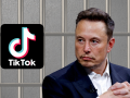 TikTok podría acabar en manos de Elon Musk