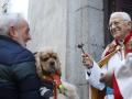 Vueltas de San Antón: procesión con animales en el centro de Madrid, en directo