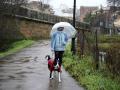 Una mujer pasea a su perro este martes en Plasencia (Cáceres) bajo la lluvia