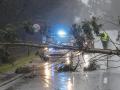 Un árbol corta la carretera en Negreira, La Coruña