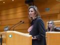 La vicesecretaria de Desarrollo Sostenible del Partido Popular, Paloma Martín
