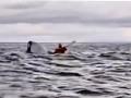 Momento en el que una ballena engulle a un joven en el Estrecho de Magallanes
