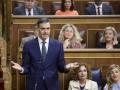 El presidente del Gobierno, Pedro Sánchez, en el Congreso de los Diputados