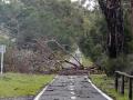 Las lluvias han provocado que el entorno de El Rocío y las marismas enseñen una imagen que hacía años que no se veían