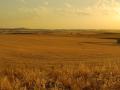 Paisaje manchego en Ciudad Real