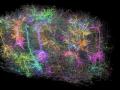 Reconstrucción en 3D del trozo de cerebro de ratón