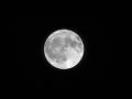 Luna llena