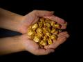Una persona sostiene decenas de pepitas de oro
