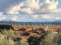 La Junta de Andalucía tendría que plantar 28,5 millones de árboles para compensar el CO2 que dejarán de capturar el medio millón de olivos centenarios que prevén arrancar, en Jaén y Córdoba, para instalar megaplantas fotovoltaicas