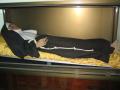 El cuerpo de Sor Úrsula expuesto en el convento de las Capuchinas de Alicante