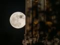 ZARAGOZA, 12/05/2025.- Luna llena de mayo, llamada "Luna de las Flores", en una imagen de esta noche del cielo de Zaragoza. EFE/ Javier Belver