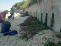 Un hombre 'recoge uñas de gato' en Sanlúcar