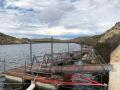 Pantano de Elche