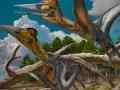 Ilustración del dinosaurio Nipponopterus mifunensis