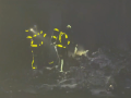 Imágenes de la extinción del incendio de Móstoles