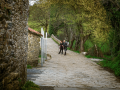 Peregrinos del Camino de Santiago.