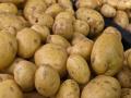 Patatas