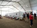 El alcalde visita el puesto de Cruz Roja Española en la Feria de la Salud