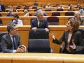 La vicepresidenta Montero y los ministros Bolaños y Grande-Marlaska, este martes en el Senado
