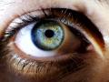 Ojo humano