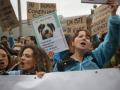 Varias personas con carteles durante una concentración de veterinarios por la polémica de la ley de medicamentos, frente al Ministerio de Agricultura