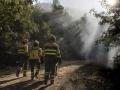 Varios bomberos trabajan en el monte en Brañuelas, León